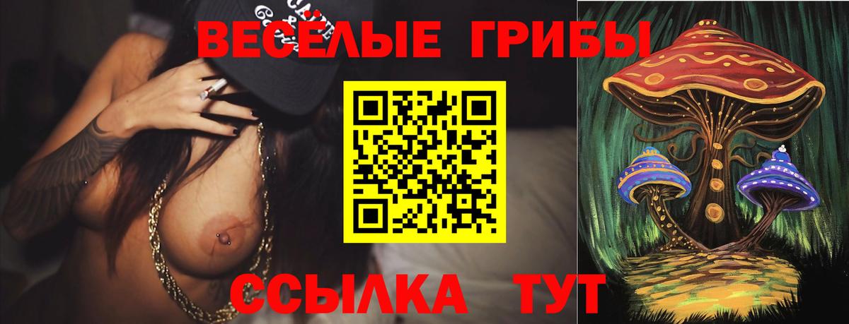 Галлюциногенные грибы мухоморы  Вход с VPN  Грязи 
